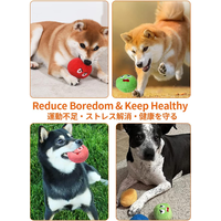 Pelotas de Juguete para Perros de Felpa Suave con Sonidos Integrados, Juguetes Interactivos para Jugar a Traer, Aptos para Mascotas Pequeñas y Medianas
