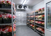 Cámara Frigorífica para Floristería, Refrigerador para Flores, Congelador para Flores