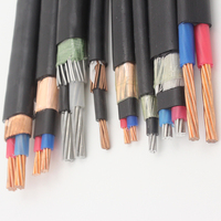 XLPE/PE Kabel Entri Overhead Terisolasi Tembaga Konduktor Tembaga Kabel Konsentris Lapis Besi Netral Daftar Harga 6AWG
