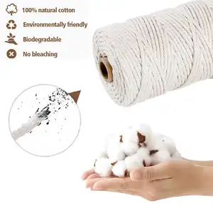 3MM 4MM Core Wrapped Cotton Polyester Diy Hand-woven Tapestry Net Pocket Material Bag Binding Decorative Rope Macrame Cord