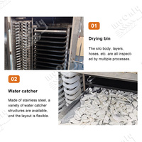 MY Commercial Bon Prix Lyophiliser 200kg 600kg Alimentaire Lyophilisateur Sublimation Machine