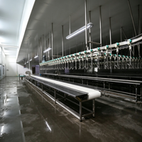 Équipement de boucherie avicole suspendu en hauteur, ligne de traitement continue pour poulets, canards et oies, pour abattoir