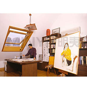 Claraboyas de Aluminio Personalizadas (Marco Delgado Minimalista) - Adaptación Estética para Residencias Modernas de Lujo/Oficinas Abiertas - Product Image 4