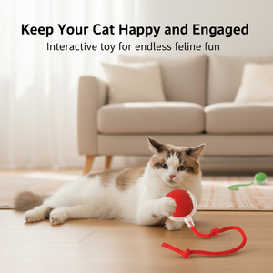 Juguete Interactivo para Gatos, Pelota Rodante Activada por Movimiento con Luz LED, Equipo de Entretenimiento Automático para Mascotas - Product Image 2