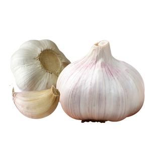 Jining <span class=keywords><strong>Ail</strong></span> Frais Nature Garlic10kg/carton Lâchement 5.5cm Exportation <span class=keywords><strong>Afrique</strong></span>, Amérique <span class=keywords><strong>du</strong></span> <span class=keywords><strong>Sud</strong></span>, Moyen-Orient - Product Image 5
