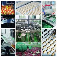 Créatine monohydrate pure en poudre Halal ISO 22000 pour adultes, non destinée aux femmes enceintes, instantanée, HACCP, GMP, OEM, vente en gros, ODM