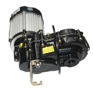 Moteur cc sans balais de tricycle électrique pour essieu arrière ev 60v 1000w, 3 roues avec moteur électrique