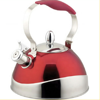 Bouilloire en acier inoxydable pour la maison, capacité 2,5 L, écologique, compatible lave-vaisselle, pour gaz et induction, options de camping, usage domestique