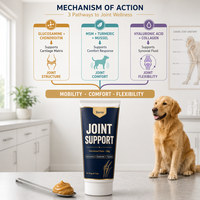Pâte Nutritionnelle Premium pour Articulations Canines – Glucosamine, Chondroïtine, Curcuma, Collagène – Tout-en-un pour la Mobilité – OEM