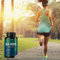 Capsules d'algues marines : Supplément immunitaire superalimentaire à base d'algues irlandaises et de racine de bardane de qualité supérieure |   Capsules de mousse de mer en marque privée OEM/ODM