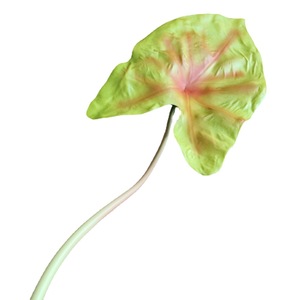 Hoja <span class=keywords><strong>de</strong></span> Caladium Tropical Artificial, Planta <span class=keywords><strong>de</strong></span> <span class=keywords><strong>Colocasia</strong></span> Artificial Realista, Ramo <span class=keywords><strong>de</strong></span> Hojas Verdes para Decoración <span class=keywords><strong>de</strong></span> Interiores, Arreglo <span class=keywords><strong>de</strong></span> Jarrones para Sala <span class=keywords><strong>de</strong></span> Estar - Product Image 5