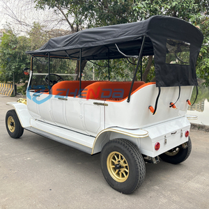 2026 Coche Clásico Eléctrico de Época, Precio de Fábrica, Modelo de Coche Clásico en Venta, Transporte Especial - Product Image 5