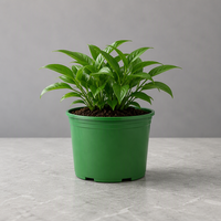 Pot Tanaman Kecil Lucu Diskon, Pot Pembibitan, Bonsai Urban, Budidaya Japandi, Pot Bunga Taman Mewah, PP Ringan, Lubang Drainase
