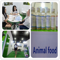 Poudre de protéine de farine de soja de fermentation-Protéine soluble à haute teneur en acide pour additifs alimentaires pour animaux