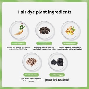 <span class=keywords><strong>Tinte</strong></span> para el Cabello JiaYing Gris Avellana Marrón, Color de Moda 2025, a Base de Plantas, Sin Decolorante, Crema de <span class=keywords><strong>Tinte</strong></span> para Adultos de Grado Superior que Cubre Completamente - Product Image 3
