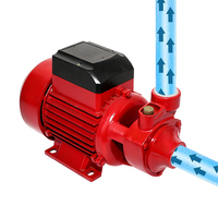 Pompe à eau auto-amorçante 3,0 m³/h à haut débit, hauteur de refoulement 60 m, 1 pouce DN25 QB80, pour eau propre, hauteur de refoulement 8 m, pour usage quotidien