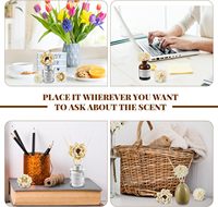 DIY Fleurs de Sola Séchées Mélangées, en Forme de Feuille de Roseau, Longue Durée, Diffuseur d'Arômes, Décoration, Vente Directe Usine, 100% Naturel