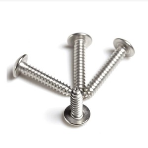 ที่กำหนดเองรัด <span class=keywords><strong>DIN7504N</strong></span> M4.8สแตนเลสฟิลลิป Recess กระทะหัวสกรูเจาะตนเอง - Product Image 1