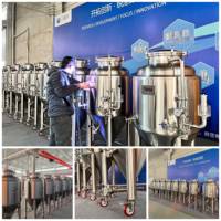 Cuve de fermentation CARRY de 100 gallons (300 litres), cuve de fermentation Cbet Brewing Solutions, fermentateurs à bière fabriqués en Chine