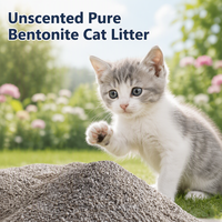 Litière pour chat en bentonite pure non parfumée pour chatons 5 kg, sable pour chat non irritant
