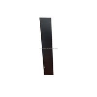 Technique avancée N IBC Cellule solaire Noir Blanc Couleur 188*485mm 18W 6.6V Mono Double Verre Panneau solaire Bandes de longueur 24.5%
