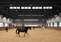 Structure en acier préfabriquée pour arène équestre intérieure, écurie, ferme, garage, hangar, entrepôt, abri équestre, atelier