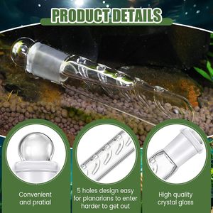 Piège à planaires à 5 trous pour aquarium, 200 ml, en verre transparent, pour crevettes naines et crevettes rouges - Product Image 2