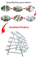 Tuyaux hydroponiques en PVC de qualité alimentaire pour système hydroponique de serre, utilisés dans la culture de fraises