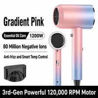 Sèche-cheveux ionique à moteur DC haute puissance 1200W, contrôle de température constante haute vitesse, buse à jet unique pour salon et usage domestique