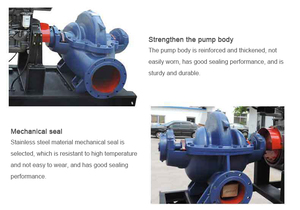 Pompe à eau agricole monophasée haute pression à grand débit, à double aspiration, pour l'industrie des biocarburants - Product Image 2