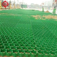 Sol en plastique emboîté en polyester à grille pour parking Noble Community Roof Garden HDPE Grass Paver