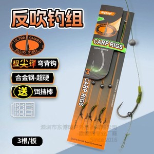 Dongborui Ouyu – Monture de pêche à la carpe prête à l'emploi avec plomb de maintien, ligne PE enduite de caoutchouc et hameçon ultra-affûté CR046 - Product Image 1