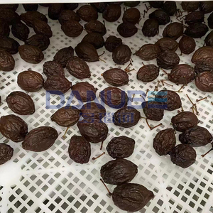 Spot Supply Prune Drying Oven Room Prune Dehydrator Equipment Prune Dehumidifier Processing Machinery - Product Image 5