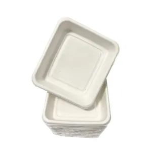 Eco-friendly Green Take Away Paper Food Container Style Disposable Bento Box