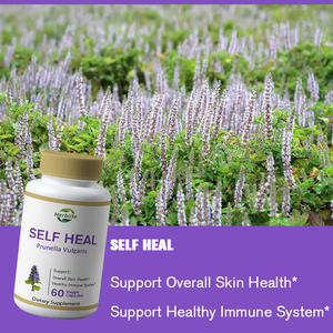 Complément alimentaire à base de Prunella Vulgaris, vente chaude OEM/ODM, peau saine, antioxydant et soutien du système immunitaire, 60 capsules - Product Image 3