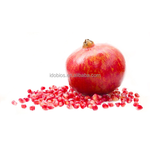 Chiết Xuất Vỏ Lựu/Bột Chiết Xuất Vỏ Lựu - Product Image 2
