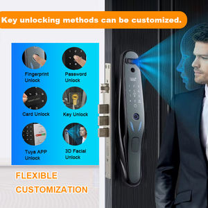 Serrure de Porte Antivol Intelligente à Reconnaissance Faciale, Empreinte Digitale, Mot de Passe Visuel et Fonctionnalités Électroniques avec Options Cloud – Fabrication - Product Image 2