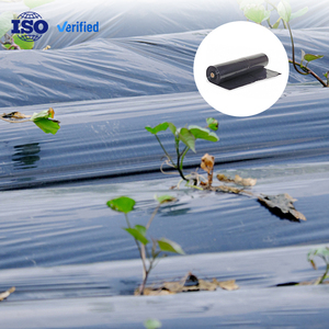 Lámina de Plástico para Mulching de 25 Micras con Orificios, Precio de Lámina de Plástico LDPE UV Negra para Agricultura de 1.5*500m HEP-120 - Product Image 1