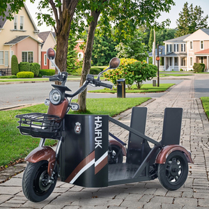 Tricycle électrique motorisé 48V 1000W pour personnes à mobilité réduite, véhicule de skateboard tout-terrain Ks-ly-09, version spéciale différenti - Product Image 2