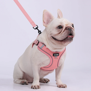 Ensemble harnais et laisse pour petits chiens – Harnais anti-traction pour bouledogue français, chiot, pug, Boston Terrier – Poitrail rembourré doux - Product Image 6