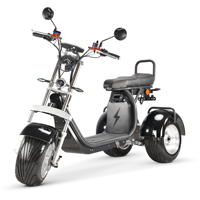 Scooter Eléctrico de Tres Ruedas con Llantas Anchas 2026, 3 Ruedas, Gran Potencia 4000W, Plegable, Batería de Litio Impermeable, Cargobike