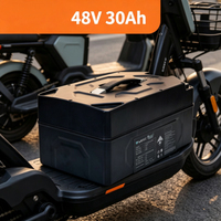 Paket Baterai LiFePO4 48V 30Ah dengan Siklus Hidup Panjang untuk Kendaraan Listrik Roda 2/Roda 3, Baterai Lithium Iron Phosphate Bebas Perawatan