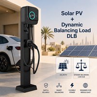 Estación de Carga para Vehículos Eléctricos DLB Smart de 22kW, con Aplicación, RFID, Caja de Pared, Resistente a Altas Temperaturas, para Hogar/Garaje, Nueva, IP65