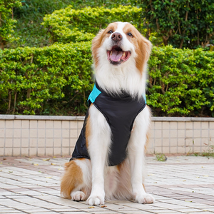 Sudadera con capucha de poliéster C106 para perros, diseño de oso de peluche a cuadros, abrigo de invierno con cremallera para gatos y perros, traje de esquí de ocio navideño - Product Image 5