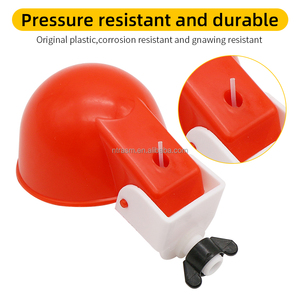 Abreuvoir automatique <span class=keywords><strong>pour</strong></span> volailles de ferme rouge et bleu avec bol à boire en plastique <span class=keywords><strong>pour</strong></span> <span class=keywords><strong>oiseaux</strong></span>, poulets et canards - Product Image 5