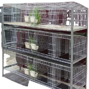 Cage d'élevage de ferme pour lapins, Cage professionnelle pour élevage de lapin, à vendre