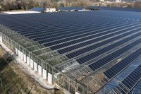 Modernes Verzinktes Stahlrahmen-Elektro-Solarenergie-Gewächshaus Solar-Venlo-Gewächshaus mit Sicherheitsglas für die Landwirtschaft