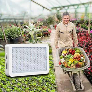 Panneau lumineux LED à spectre complet 300W-1000W, lampe de croissance carrée pour plantes, idéale pour les applications de culture intérieure en serre et la production de fruits - Product Image 6