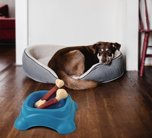 <strong>Dog</strong> Bones for <strong>Aggressive</strong> <strong>Chewers</strong> Large Breed Hard Nylon Beef Flavored <strong>Chew</strong> Toy Durable Indestructible for Puppy Teething - Product Image 5