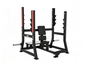 Station de presse épaules compacte et peu encombrante en acier robuste pour petit studio de fitness privé – Appareil d'entraînement des épaules - Product Image 5